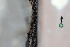 Lu-1