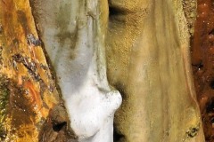 Paraeidolon_3