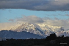IMG_3528-2x3-TL-EFF