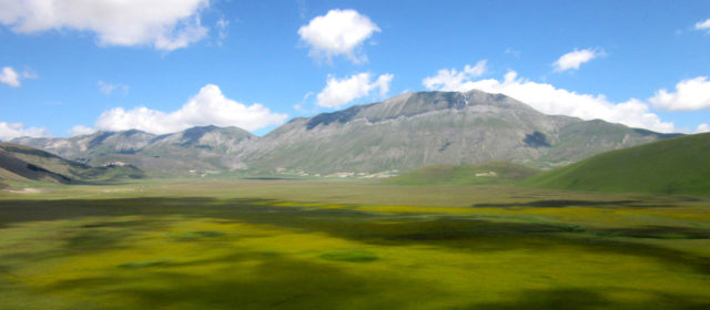 Piana del Castelluccio: “Possibile scenario prima della Fioritura”